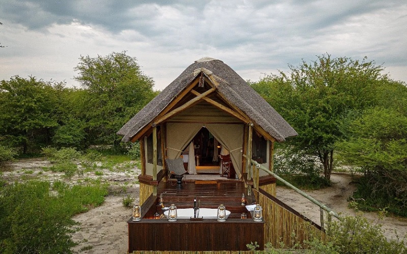 10 Day Chobe, Delta & Kalahari Safari Feline Lodges